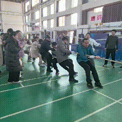 lv_0_20250212104557.gif