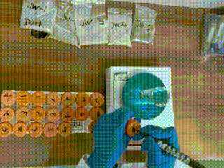 lv_0_20250729155758.gif