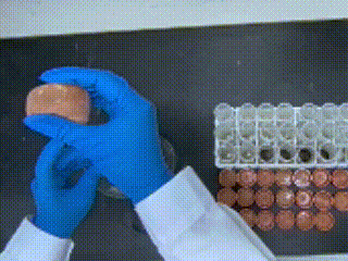 lv_0_20250729155844.gif