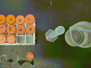 lv_0_20250729160019.gif